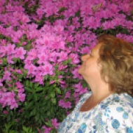 Stop and smell the azaleas