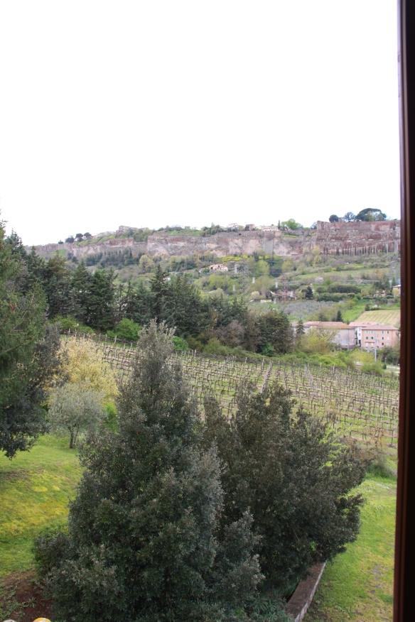 view of Orvieto from our B&B