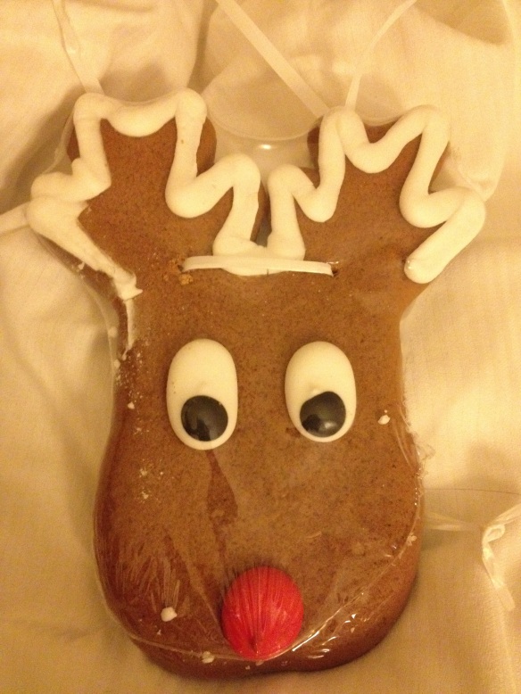 Christmas gingerbread cookie -- sorry I had to devour you, Rudolf